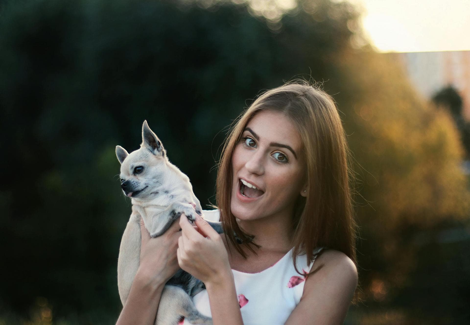 Specialist Vets in Highlands Ranch