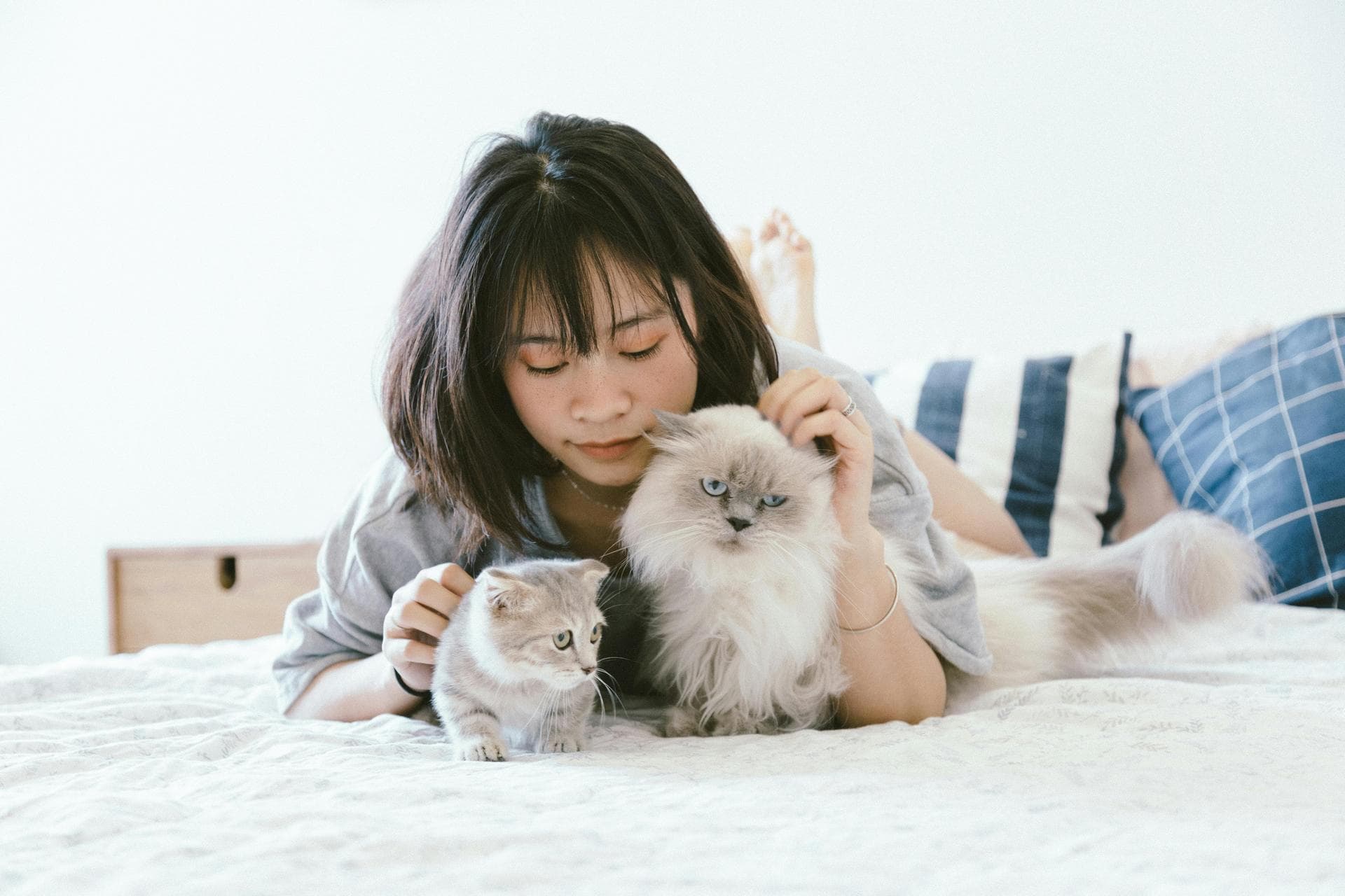 Dog & Cat Vets in Highlands Ranch